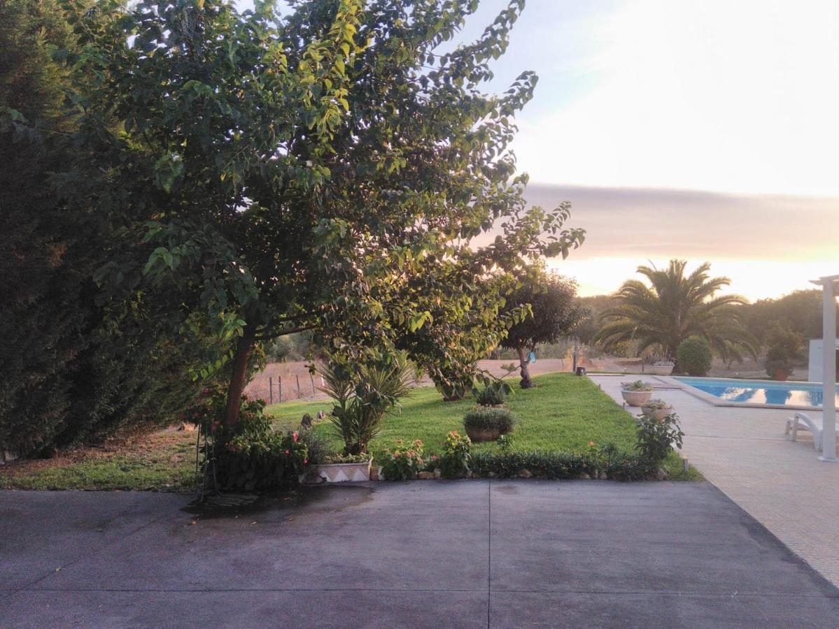 Вилла Quinta Da Perdiz Country House Сантарен Экстерьер фото